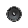 Phoenix Gold ZDSW7CS