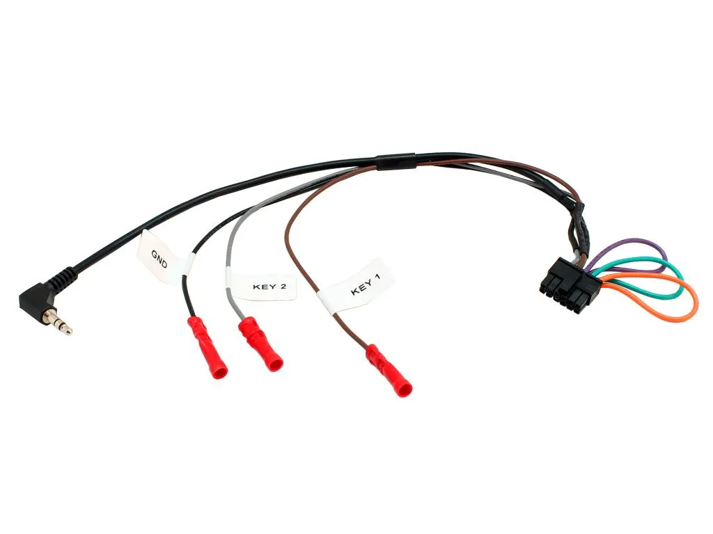 C2 Multilead